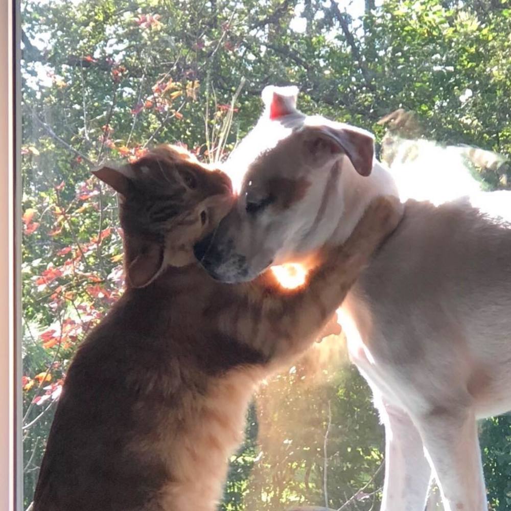 Meet your Posher, Melissa kowalski